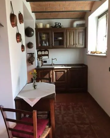 Panorama *
